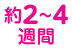 約2から3週間